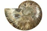 Cut & Polished Ammonite Fossil (Half) - Madagascar #206774-1
